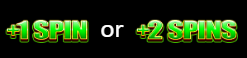 dw5