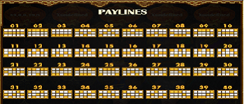 paylines